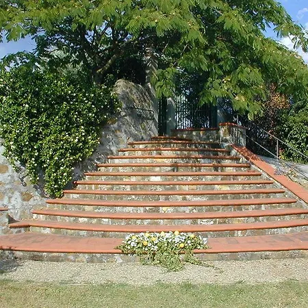 Le Rondini