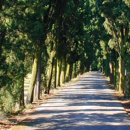 Hotel Le Rondini Florence