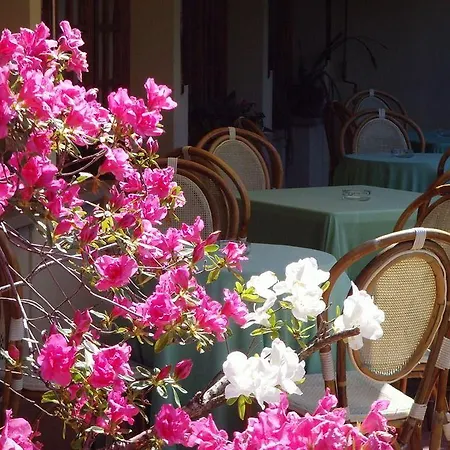 Le Rondini 4* Florence